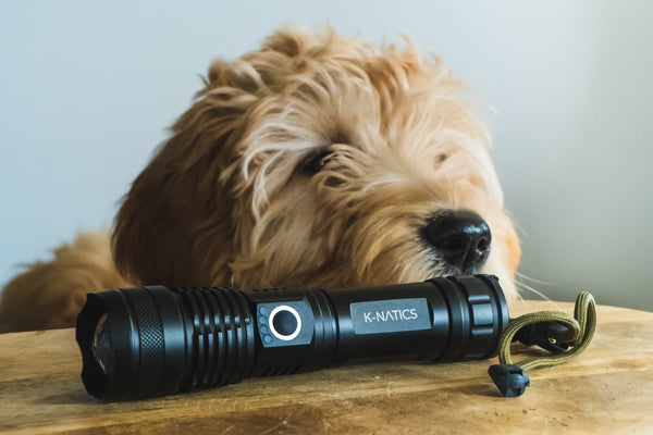 Welke zaklamp is geschikt bij het uitlaten van je hond?